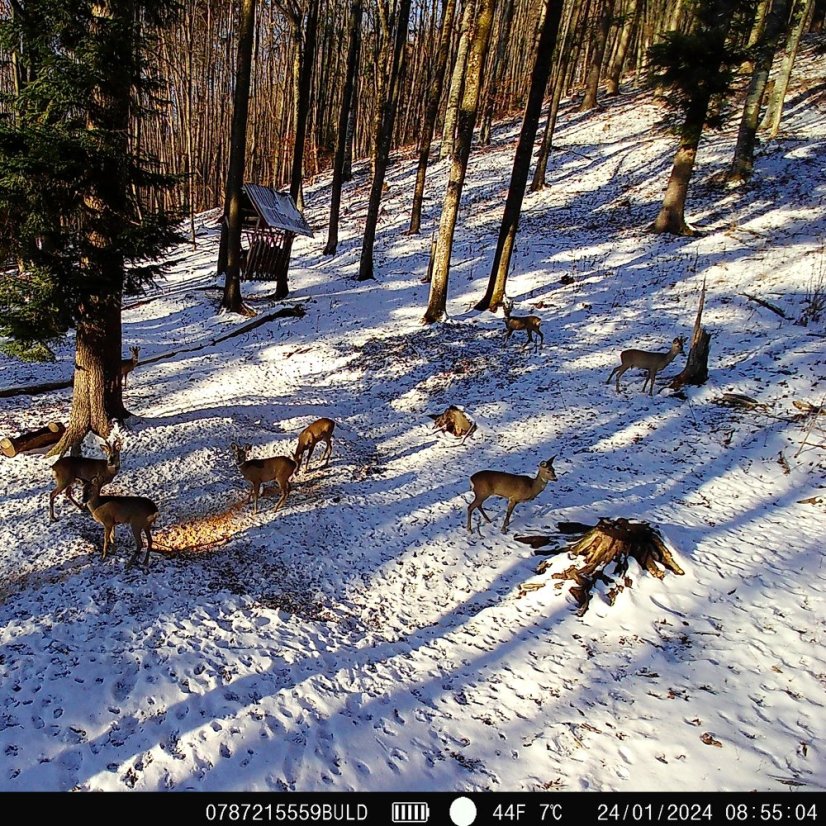 The PNI Hunting 400C PRO 24MP game camera kit includes a security housing