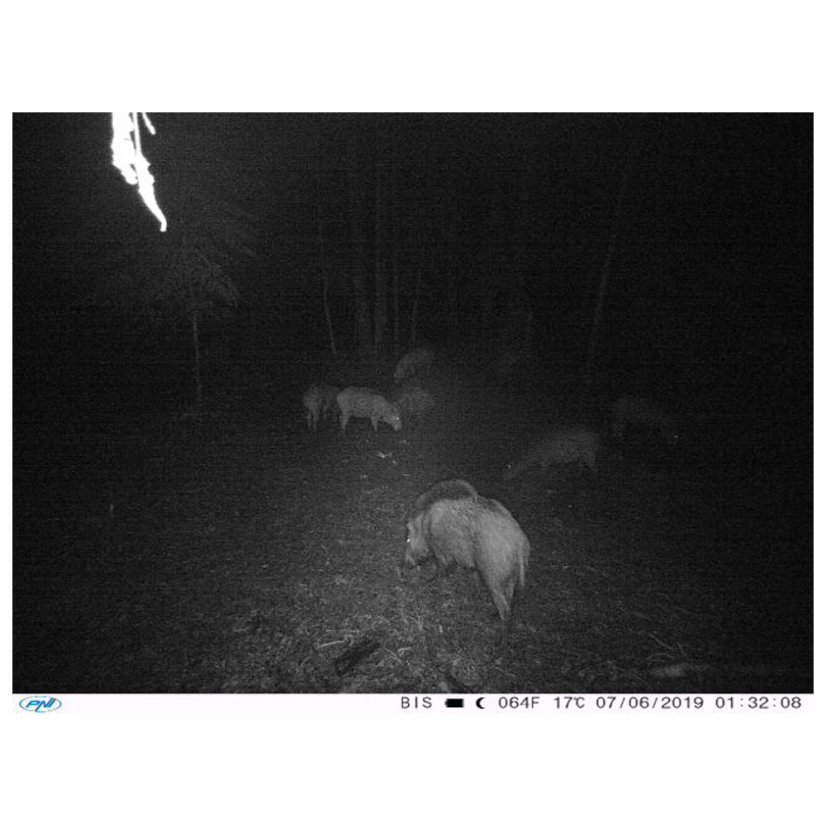 PNI Hunting 350C 12MP Game Camera with 3G, SMS, Email, FTP, 1080p, and Night Vision