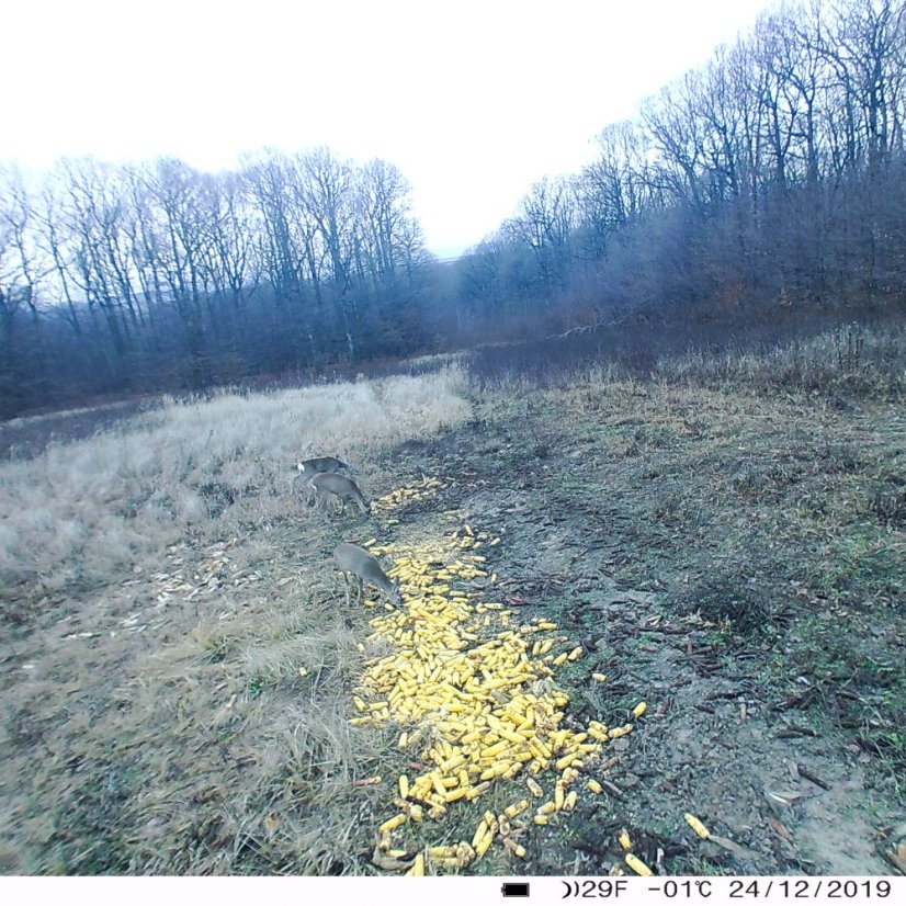 PNI Hunting 400C 12 MP game camera with 4G LTE internet connectivity, GPS, FTP, 1080p resolution, and night vision