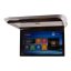 Stropní LCD monitor 19,5" s OS. Android USB/HDMI/IR/FM, dálkové ovládání se snímačem pohybu, šedá