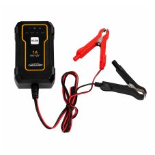 CARCLEVER compact battery charger 6 V/1 A and 12 V/1 A + 12 V LiFePO4