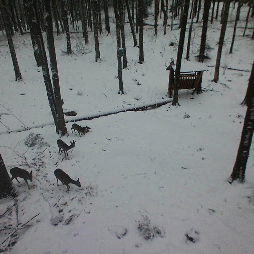 PNI Hunting 400C 12 MP game camera with 4G LTE internet connectivity, GPS, FTP, 1080p resolution, and night vision