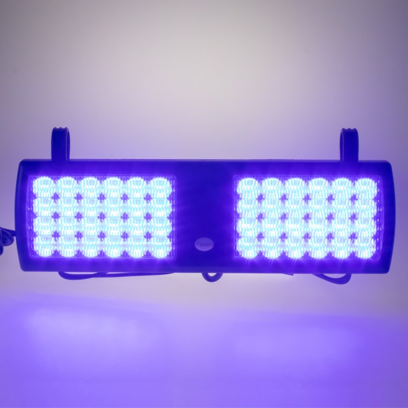 PREDATOR dual LED vnútorný, 48x1W, 12-24V, modrý