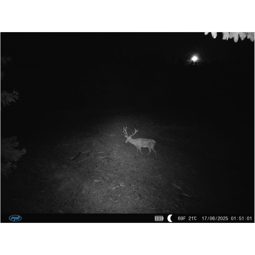 PNI Hunting 400C PRO 24 MP Game Camera with 4G LTE Internet Connectivity and GPS, 1080p, Night Vision