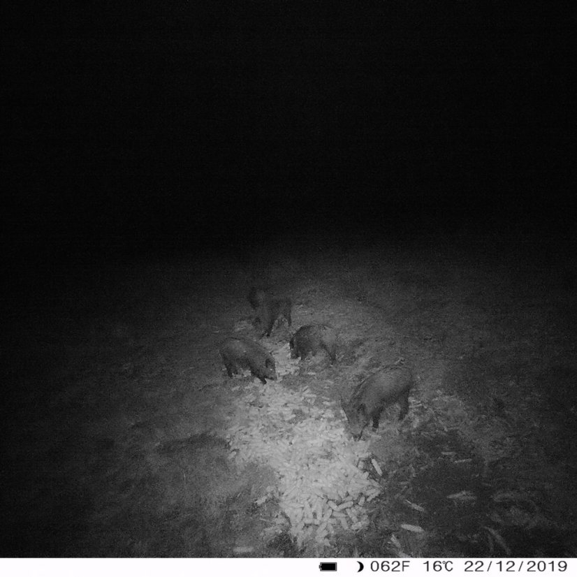 PNI Hunting 400C 12 MP game camera with 4G LTE internet connectivity, GPS, FTP, 1080p resolution, and night vision