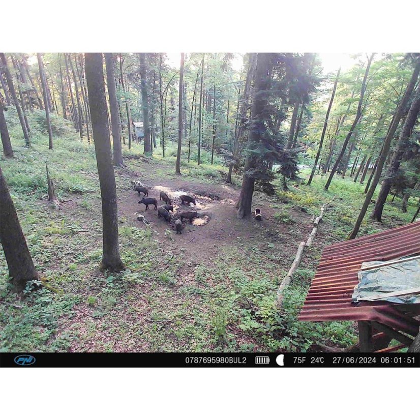 PNI Hunting 480C PRO Game Camera, 24MP, with 4G Internet, GPS, 60° field of view