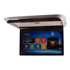 Stropný LCD monitor 17,3“ s OS. Android USB/HDMI/IR/FM, diaľkové ovládanie so snímačom pohybu, sivý