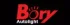 Bory AutoLight