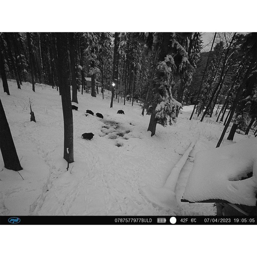 The PNI Hunting 400C PRO 24 MP game camera kit includes a housing and a security cable