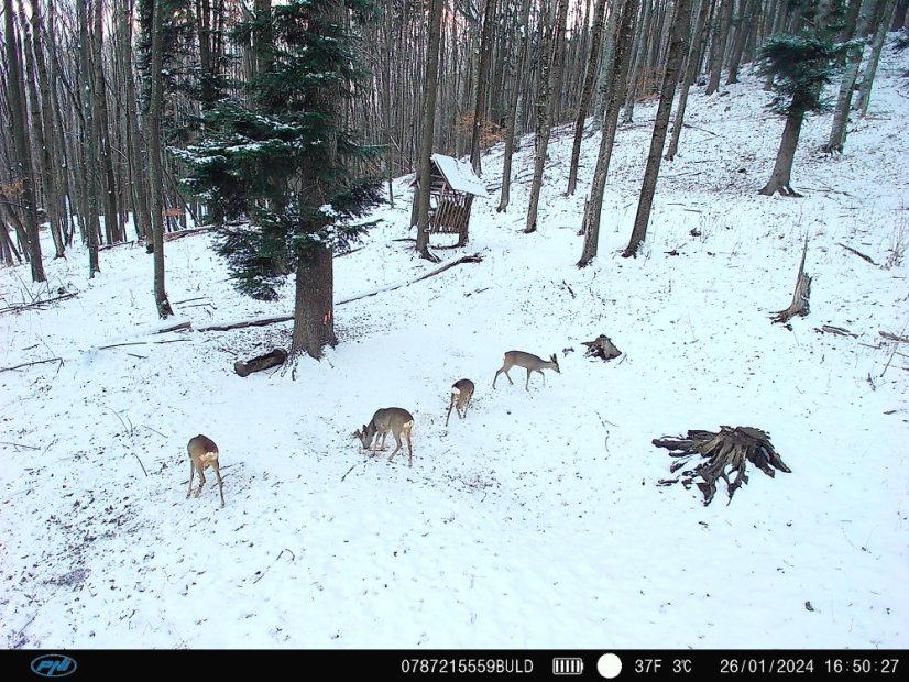 PNI Hunting 400C PRO 24 MP Game Camera with 4G LTE Internet Connectivity and GPS, 1080p, Night Vision