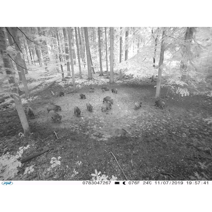 PNI Hunting 350C 12MP Game Camera with 3G, SMS, Email, FTP, 1080p, and Night Vision