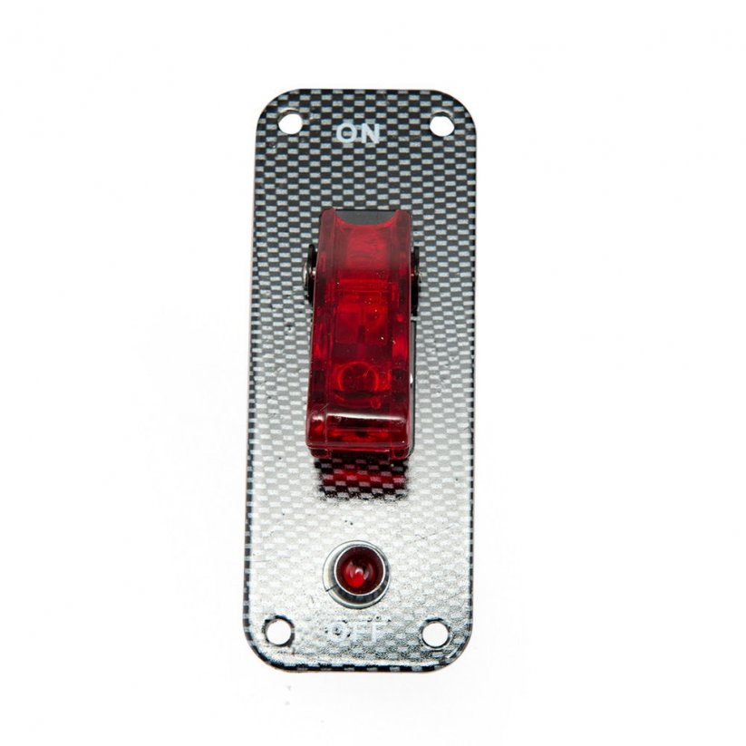 Panel with switch and indicator light, 12V