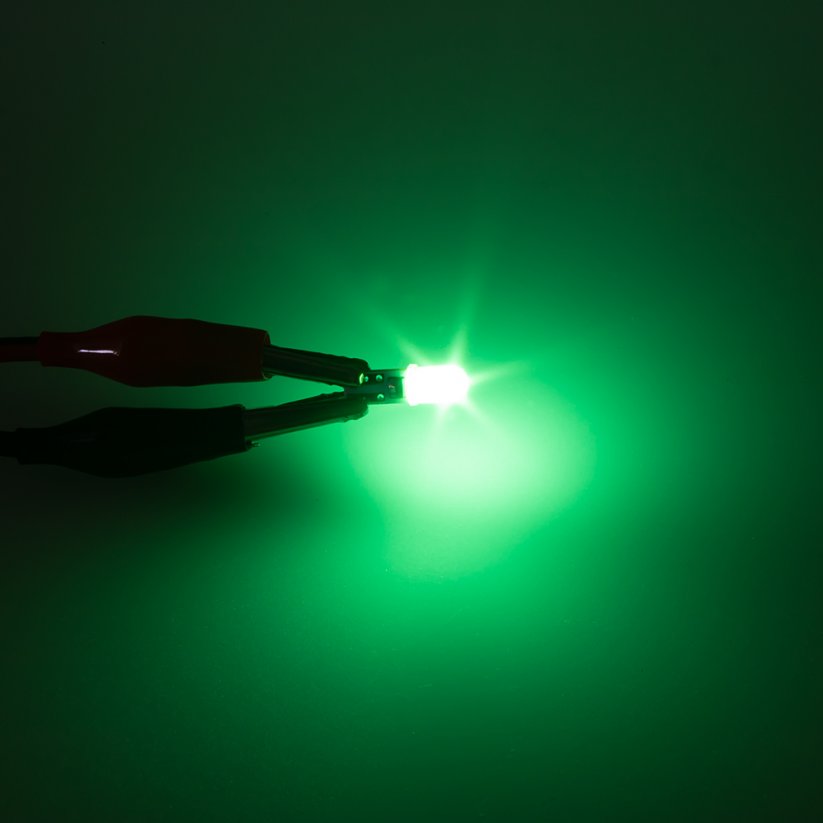 LED T5 green, 12V, 2LED/3014SMD