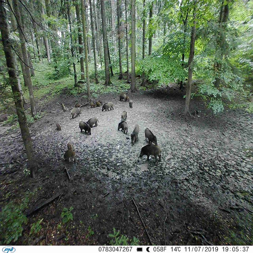 PNI Hunting 400C 12 MP game camera with 4G LTE internet connectivity, GPS, FTP, 1080p resolution, and night vision