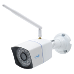 IP cameras